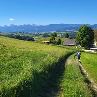 Feldweg - Schluchtenweg Trailrun