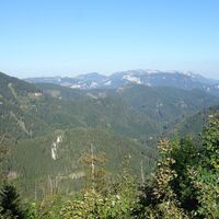 Abstieg am Sohlenkogel