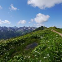 Am Schlappoltkopf