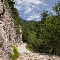 Panoramaweg Reith Forstweg