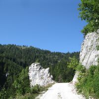 Hinternaßwald - Grenzriegel - Amaißbichl
