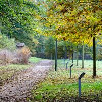 Jubiläumsallee im Kurpark Vlotho