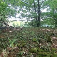 Gipfel Wittenbachberg