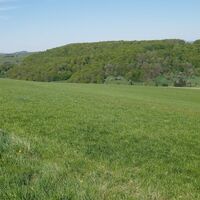 Oberhalb von Horschbach