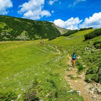 Wanderung vom Zireiner See Richtung Bayreuther Hütte