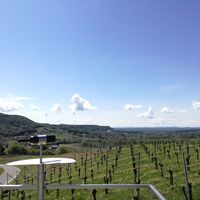 Ausblick vom Aunberg in Tieschen