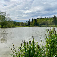 Stausee Aroldshausen - Roland Werner Gedenkweg