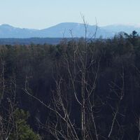 südseitig vor der Hirschwand