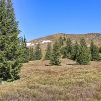 Das Ziel ist bald erreicht