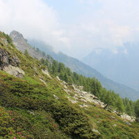 Passo Quadrella
