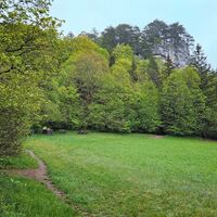 1.3 km Haussteinwiese gerade: auf den Hausstein; Rechts vom Rastplatz: weiterer Weg