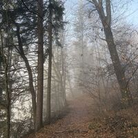 Hier die in der Beschreibung erwähnte Etappe an einem Absturz vorbei. Bitte Obacht mit Kindern und/oder Hunden oder nicht trittsicheren Personen. Ist aber nicht extrem ausgesetzt, etwas rechts am Weg halten, dann gehts.