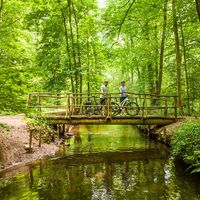 Brücke über den Spiegelbach bei Knittelsheim