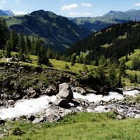 Im Simmental