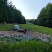 Am Abzweig über die Forststraße zum Parkplatz.