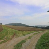 Rennsteig mit Blick zum Großen Eichelberg