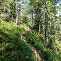 Wunderbar schlängelt sich der Wanderweg Richtung Duisitzkar