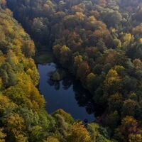 Karlsbergweiher im WaldPark Schloss Karlsberg, Homburg, 2020, Eike Dubois