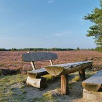 Rastplatz an der Nemitzer Heide