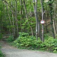 Ruine Rauhenstein derzeit gesperrt
