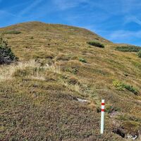 Grasiger Gipfelanstieg