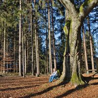 Rastplatz Bilderbuche