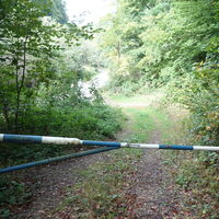 am Forstweg nach dem hintern Parkplatz Lourdesgrotte
