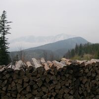 Puchberg - Edelweißhütte