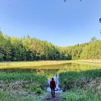 Morgenstimmung am Teich