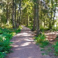 Im Koskipuisto gibt es gute Wege zum Radfahren