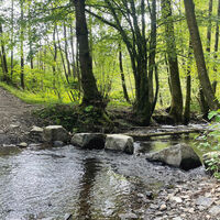 Trittsteine Westertbach Natursteig Sieg Etappe 7