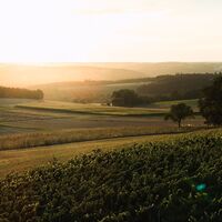Taubertal_Reicholzheim