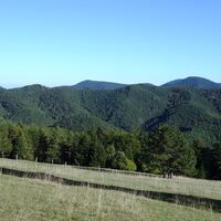 am Weg zum Spatzenwälderkogel
