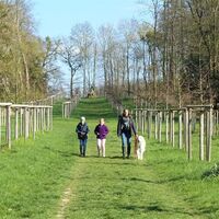 Auf dem Weg zum Schneckenberg