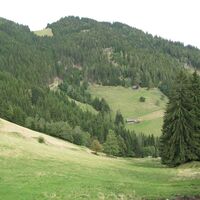 Blick vom Plotscherbauer