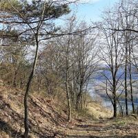 Abstieg am Schreiberberg