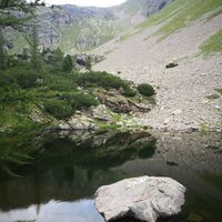 Leicht wie ein Schatten