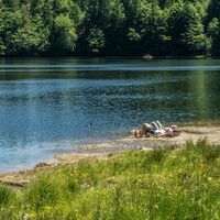 Sonnenbaden am Feldsee
