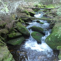 ehemaliger Triftkanal