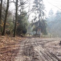 am Weg zur Wildhütte