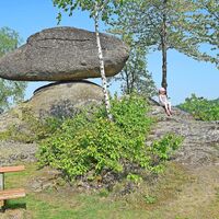 Schwammerling