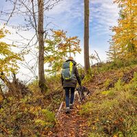 Symbolbild Premiumwanderweg Feenspuren Kirgel Aussichten