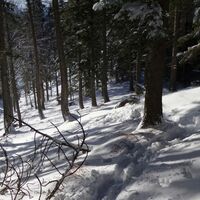 Grat-Weg Geißruck - Kieneck