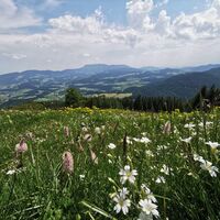 Panoramablick vom Gschaidberg_Naturpark Almenland_Oststeiermark