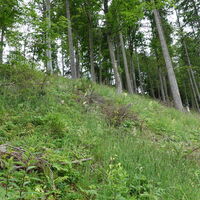 am Weg zum Pinkenkogel