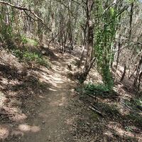 Napoleon-Trail
