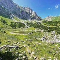 Hirnalm
