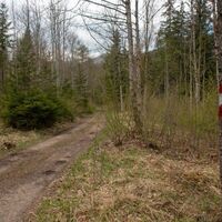 Markierung entlang des Gasteiger Rundweg