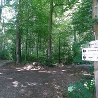 Wanderwegweiser nahe Kellerteiche im Salzufler Stadtforst