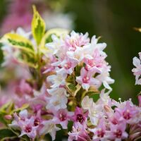 laasrunde_img_42296764